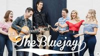 THE_BLUEJAYS_-_NOT_FADE_AWAY (Buddy Holly Cover)