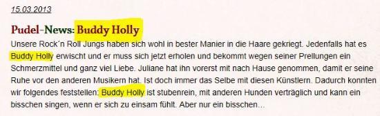 Ein Pudel namens Buddy Holly