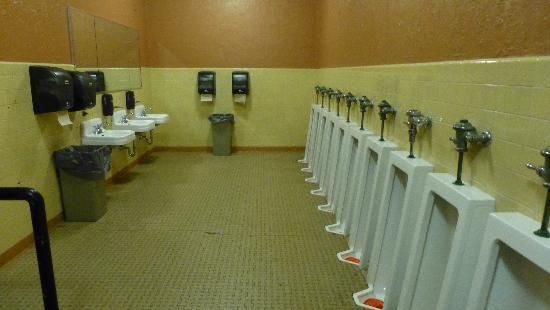 SURF Toilets