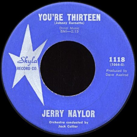 YOU'RE_THIRTEEN_Jerry_Naylor.jpg