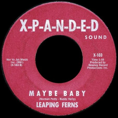 MAYBE_BABY_Leaping_Ferns_1965.jpg
